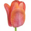 Floristik24 Tulipán umelý kvet červený, oranžový Umelý jarný kvet V67cm