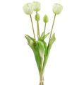 Floristik24 Tulipány krémové real touch kvetinová dekorácia L43,5cm 5ks