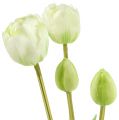 Floristik24 Tulipány krémové real touch kvetinová dekorácia L43,5cm 5ks