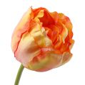 Floristik24 Tulipány ružovo-žlté 86cm 3ks