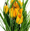 Floristik24 Tulipány v žltom črepníku 30cm