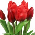 Floristik24 Tulipán červený umelý kvet tulipánová dekorácia Real Touch 38cm zväzok 7 kusov