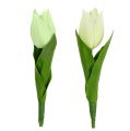 Floristik24 Jarná dekorácia, umelé tulipány, hodvábne kvety, dekoračné tulipány zelené/krémové 12 kusov