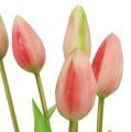 Floristik24 Tulipánový golier ružový skutočný dotyk