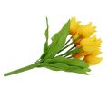 Floristik24 Tulipánový ker žltý, výška 30 cm