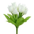 Floristik24 Tulipánový ker biely 30cm