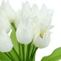 Floristik24 Tulipánový ker biely 30cm