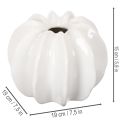 Dekoratívna váza s tekvicou, lesklá, jesenná dekorácia do obývačky, 19 cm | Floristik24.sk