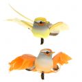 Floristik24 Vtáčik na klipe oranžový 14cm 8ks