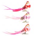 Floristik24 Vtáčik na klipe ružový, ružový 15cm 12ks