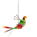 Floristik24 Vtáčik na zavesenie zelený, ružový, oranžový 18,5cm