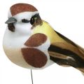 Floristik24 Jarná dekorácia, vtáčiky na drôte, umelý vtáčik hnedá, biela V3cm 12ks