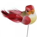 Floristik24 Pružina, vtáčik na drôte, farebné kvetinové zátky V2,5cm 24ks