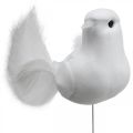 Floristik24 Svadobná dekorácia, holubice na drôte, svadobné holubice biele V4,5cm 12ks