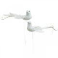 Floristik24 Biele holubice, svadobné, ozdobné holubice, vtáčiky na drôte V6cm 6ks