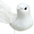Floristik24 Biele holubice, svadobné, ozdobné holubice, vtáčiky na drôte V6cm 6ks