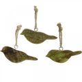 Floristik24 Vtáčiky na zavesenie, jarná dekorácia, drevený vešiak príroda, zelený V4cm 6ks