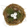 Floristik24 Vtáčie hniezdo s vajíčkami Ø9cm 6ks