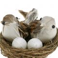 Floristik24 Vtáčie hniezdo s vajíčkami a vtáčikom 6ks