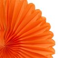 Floristik24 Voštinový papierový kvet oranžový Ø20cm 3ks