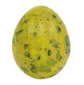 Floristik24 Prepeličie vajíčko 3cm Žlté vyfúknuté vajíčka 50ks