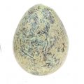 Floristik24 Prepeličie vajíčka sortiment zelené, natur 3cm 62ks