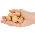 Vlašské orechy na ozdobu, prírodný produkt, 3-4 cm, 300 g | Floristik24.sk