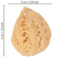 Vlašské orechy na ozdobu, prírodný produkt, 3-4 cm, 300 g | Floristik24.sk