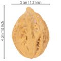 Vlašské orechy, prírodný produkt na dekoráciu stolov a DIY projekty. Prírodné vlašské orechy, 4-5 cm, 300 g. | Floristik24.sk