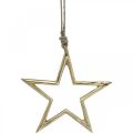 Floristik24 Vianočná dekorácia hviezda, adventná dekorácia, prívesok hviezda Golden B15,5cm