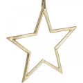 Floristik24 Vianočná dekorácia hviezda, adventná dekorácia, prívesok hviezda Zlatá B24,5cm
