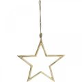 Floristik24 Vianočná dekorácia hviezda, adventná dekorácia, prívesok hviezda Zlatá B24,5cm