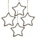 Floristik24 Vianočná dekorácia hviezda brest hviezdy na zavesenie biela praná 20cm 4ks