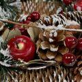 Floristik24 Vianočný veniec s ozdobným ovocím zasnežený Ø33cm
