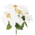 Floristik24 Umelá vianočná hviezda, biela, veľký kvet, dekoratívna rastlina, 40 cm