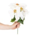 Umelá vianočná hviezda, biela, veľký kvet, dekoratívna rastlina, 40 cm | Floristik24.sk