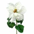 Floristik24 Poinsettia umelý kvet biely 67cm