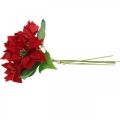 Floristik24 Umelá kvetinová dekorácia vianočná hviezda z červeného hodvábu 6 kusov v zväzku
