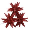 Floristik24 Vianočné hviezdy vianočné ozdoby červené trblietky Ø7cm 6ks