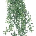 Floristik24 Zelená rastlina závesná umelá závesná rastlina s púčikmi zelená, biela 100cm