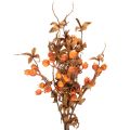 Umelá vetvička hlohu, jesenná dekorácia, 75 cm | Floristik24.sk