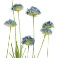 Floristik24 Lúčne kvety modré L65cm 3ks