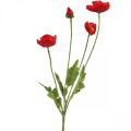 Floristik24 Umelý kvet maku červený so 4 kvetmi maku V60cm