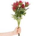 Umelá vetvička červeného bodliaka na dekoráciu, 67 cm, 3 kusy | Floristik24.sk
