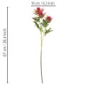Umelá vetvička červeného bodliaka na dekoráciu, 67 cm, 3 kusy | Floristik24.sk