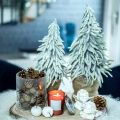 Floristik24 Zimná jedľa v kvetináči Vianočné ozdoby Jedľa so snehom V45cm