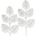 Floristik24 Zimná dekorácia, deko listy, umelá vetvička biele trblietky L36cm 10p