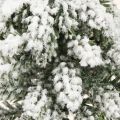 Zimná dekorácia vianočný stromček v zelenobielej farbe Ø7cm V14cm 4ks | Floristik24.sk