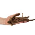 Dekoratívne drevené konáre a podnože, prirodzene sušené, 18 cm, 500 g | Floristik24.sk
