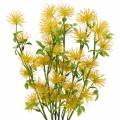 Floristik24 Xantium hodvábny kvet žltý 53cm 6ks